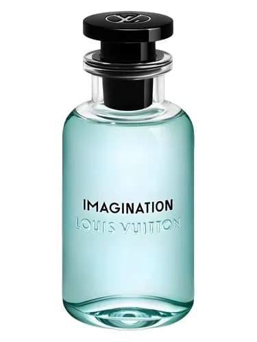 Imagination